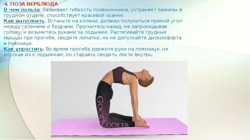 Нормы гибкости позвоночника по возрастам. Вывод о гибкости позвоночника. Сидячий образ жизни. Самые подвижные отделы позвоночника. Гибкость позвоночника обеспечивается.