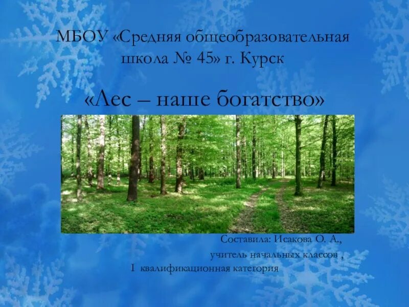 1 лес наше богатство. Лес наше богатство. Презентация для детей лес наше богатство. Мероприятие на тему лес наше богатство. Картинки на тему лес наше богатство.