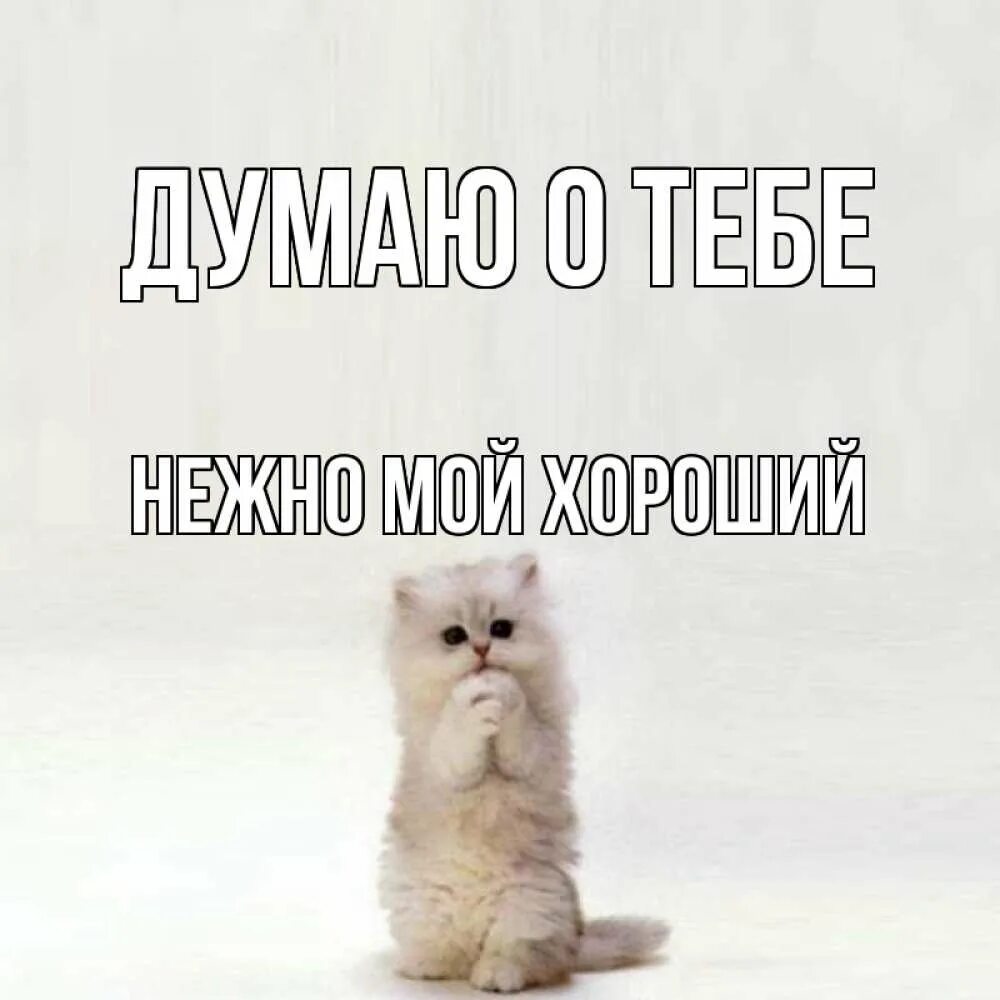 Как думаешь ты хороший человек