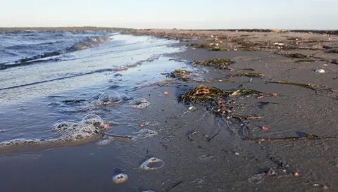 Балтийское море экологические проблемы