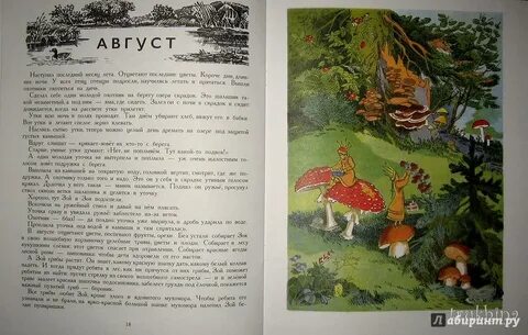 Сказка здесь