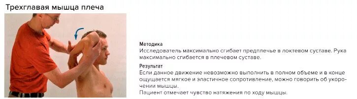 тестирование мышц плеча. мышечный тест. тест мышц плеча. функциональное тестирование мышц. определение мышечной силы.