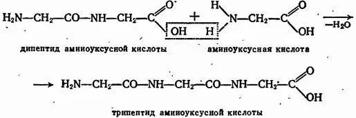 Метан ацетилен этаналь этановая кислота. Аминоуксусная кислота дипептид реакция. Аминоуксусная кислота дипептид. Аминоуксусная кислота дипептид аминоуксусной кислоты. Диопептид аминоуксрсной кислотв.