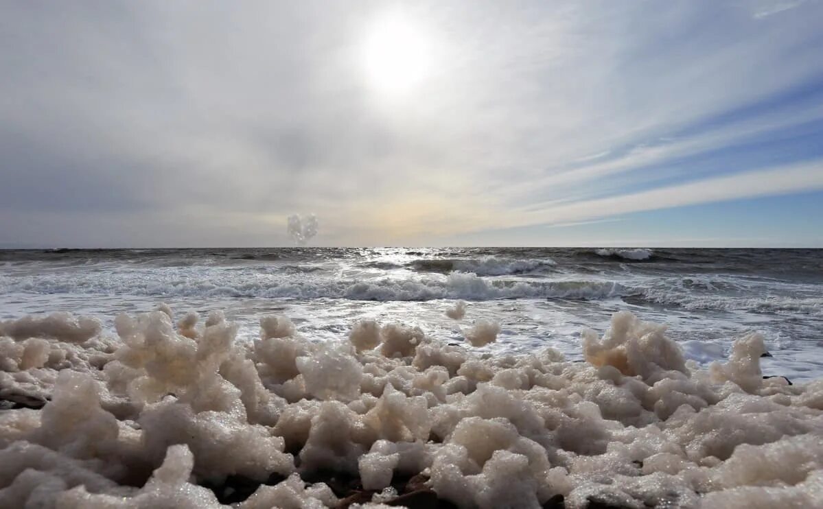 Температура белого моря сегодня