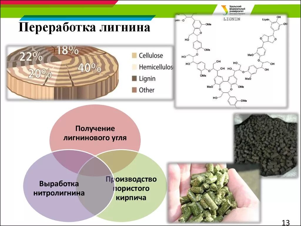 Строение дерева лигнин Целлюлоза. Лигнин гидролизный химическая формула. Переработка лигнина. Лигнин строение. Способы переработки растений