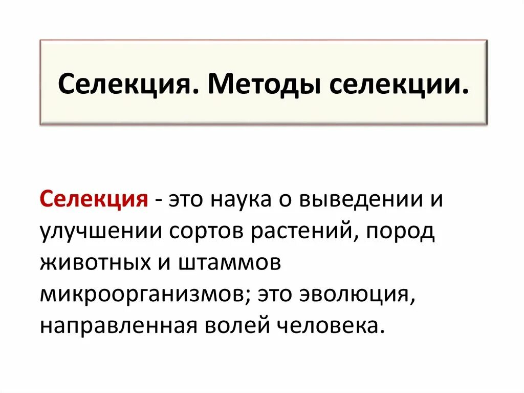 Методы выведения новых сортов растений. Выведение новых сортов растений. Сорта растений селекция. Сорта растений селекция. Селекция растений.