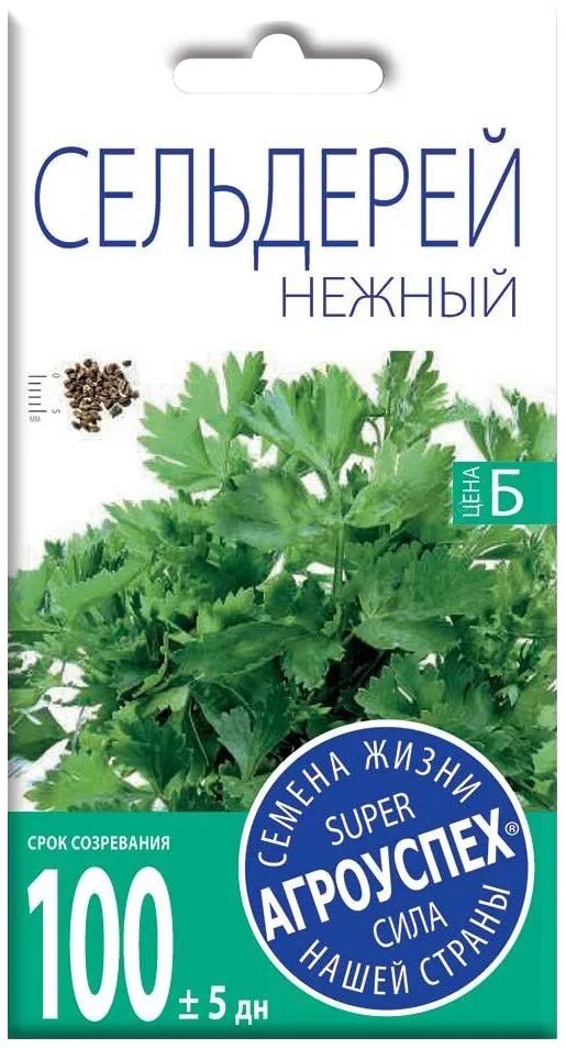 Сельдерей нежный. Сельдерей листовой. Сельдерей листовой нежность. Семена сельдерея нежный.