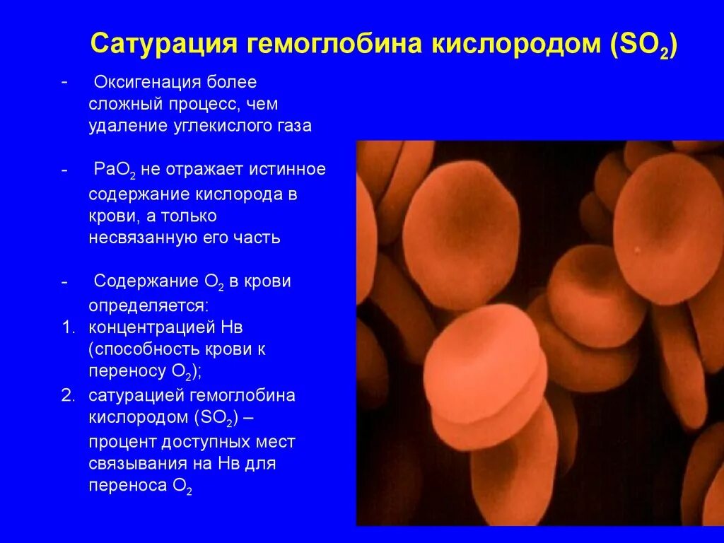 Как повысить кислород в крови. Сатурация гемоглобина кислородом. Уровень насыщения крови кислородом. Сатурация насыщение крови кислородом. % Насыщения кислородом анализ крови.