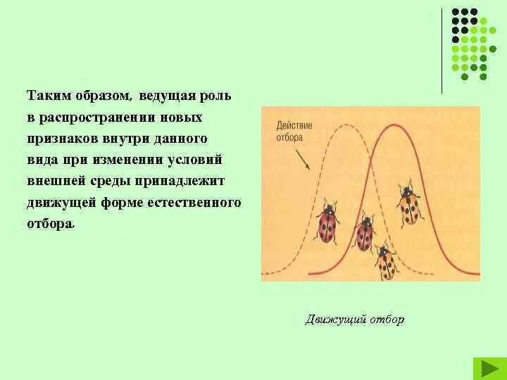 Крысы движущий отбор. Движущий пример устойчивость. Естественный отбор биология презентация. Естественный отбор это в биологии. Тест по биологии естественный отбор 9 класс