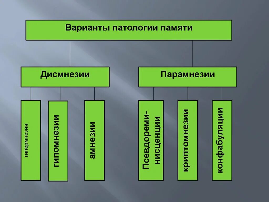 Память варианты. Дисмнезия расстройство памяти. Патопсихология памяти. Формы проявления дисмнезии. Объектом патопсихологии являются.