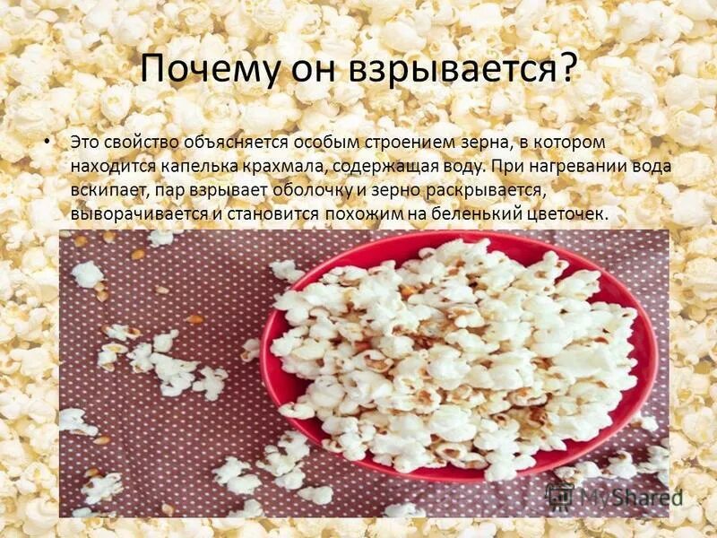 Исследовательская работа попкорн. Почему взрывается попкорн презентация. почему попкорн взрывается. почему стреляет попкорн. почему взрывается зерно.