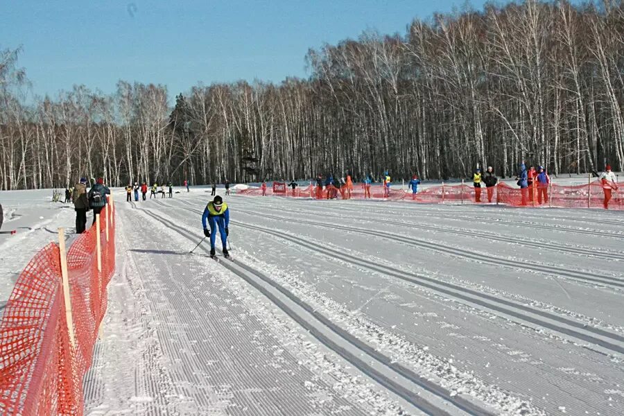 Академгородок лыжи