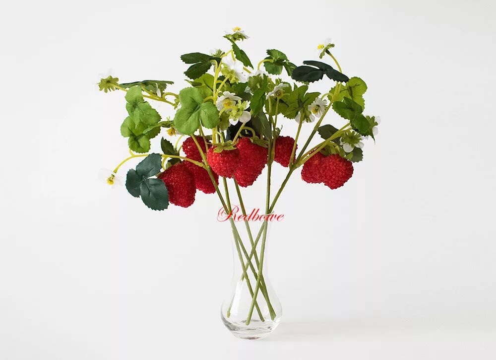 Земляника совхоза им ленина. Клубничная рассада кубанская ягода. Садовая земляника (клубника) альбион (ремонтантная). Клубника свежая. Клубника магазинная.