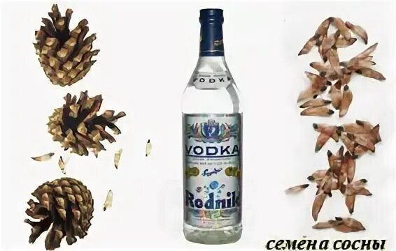 Настойка инсульт