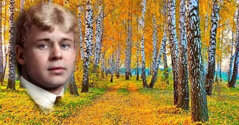 Стихотворение сергея есенина осень
