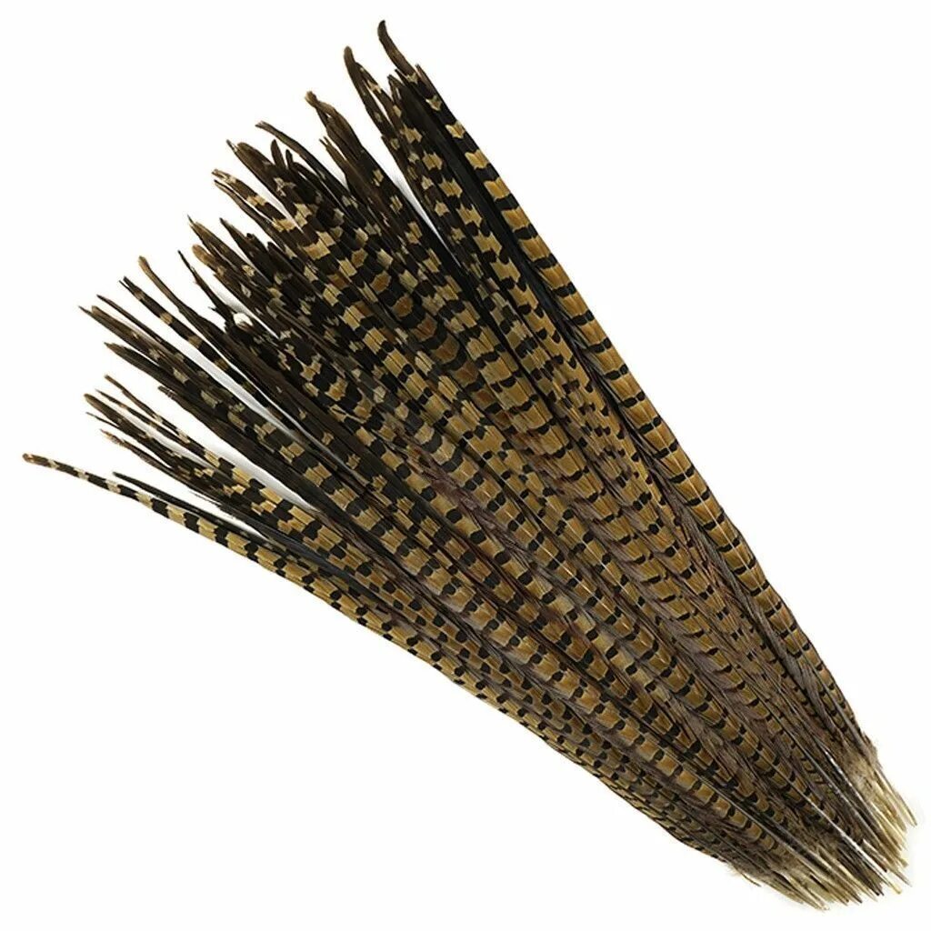 Купить перья оптом. Перо фазана 40-45 см. Длинные перья. Перья декоративные. Перо декоративное длинное.