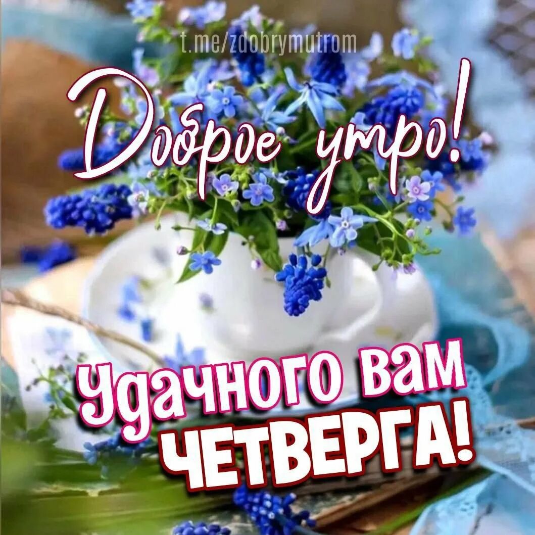 Пожелания доброго летнего утра и дня. Необычные пожелания с добрым утром. доброго летнего утра и хорошего дня. доброго летнего утра и хорошего.
