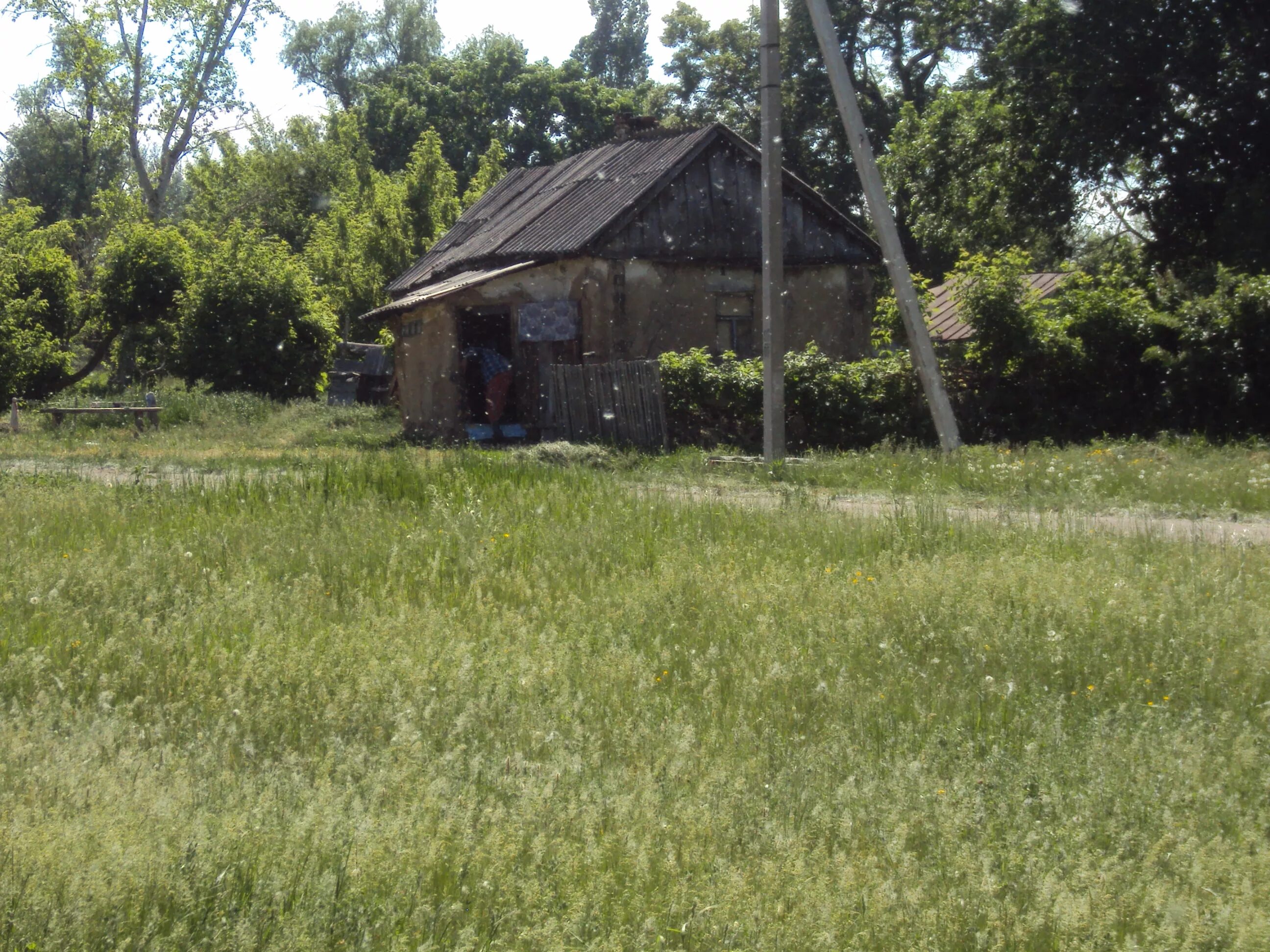 Воронежская область село новая чигла. Чигла сити. Музей в селе новая чигла. Новая чигла. Старая чигла.