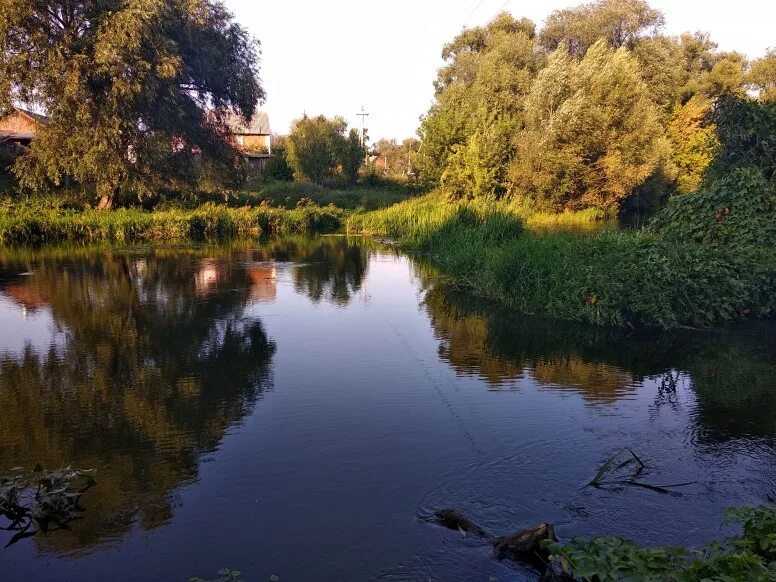 Р проне