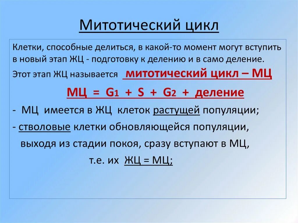 Митотический цикл клетки