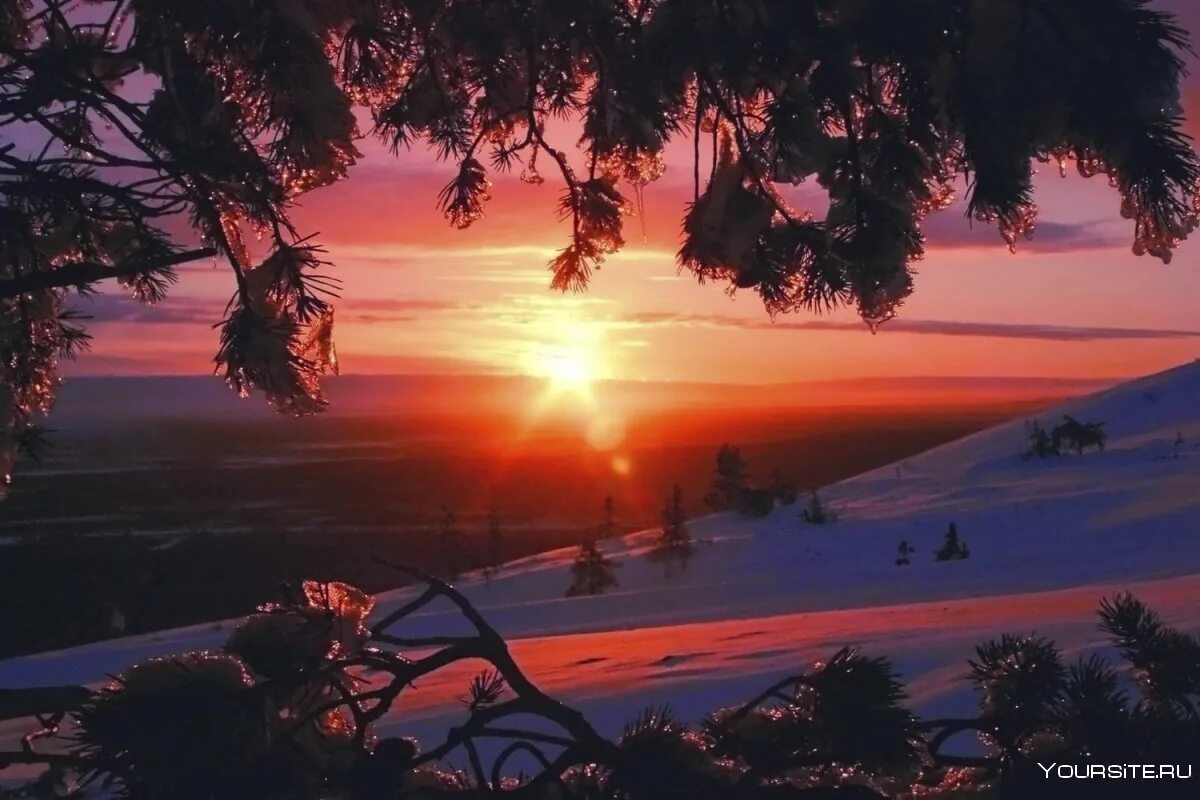 Новый год закат. Красивый закат зимой. Сказочный зимний лес. Новый год закат. Зимний закат.