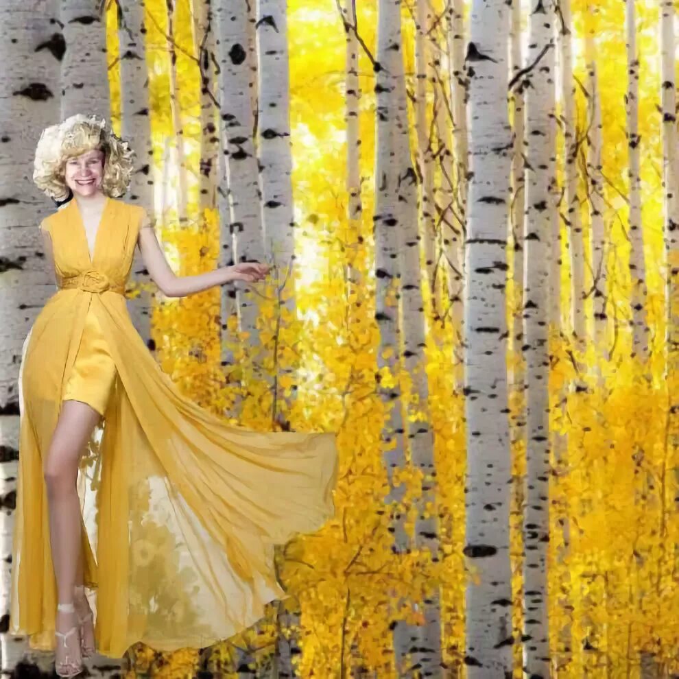 картина бабье лето. красивая осень бабье лето. бабье лето. бабье летотшумело отзвенелоо. отшумело, отзвенело бабье лето стихи.