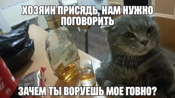 Хорошо быстро давай
