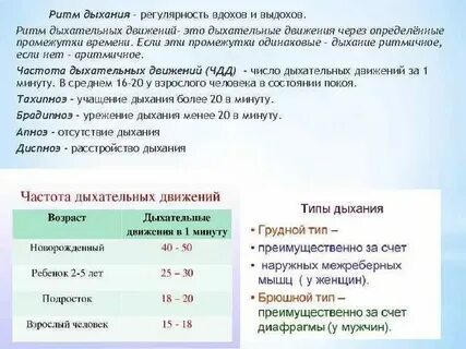 Сколько выдохов делает в минуту