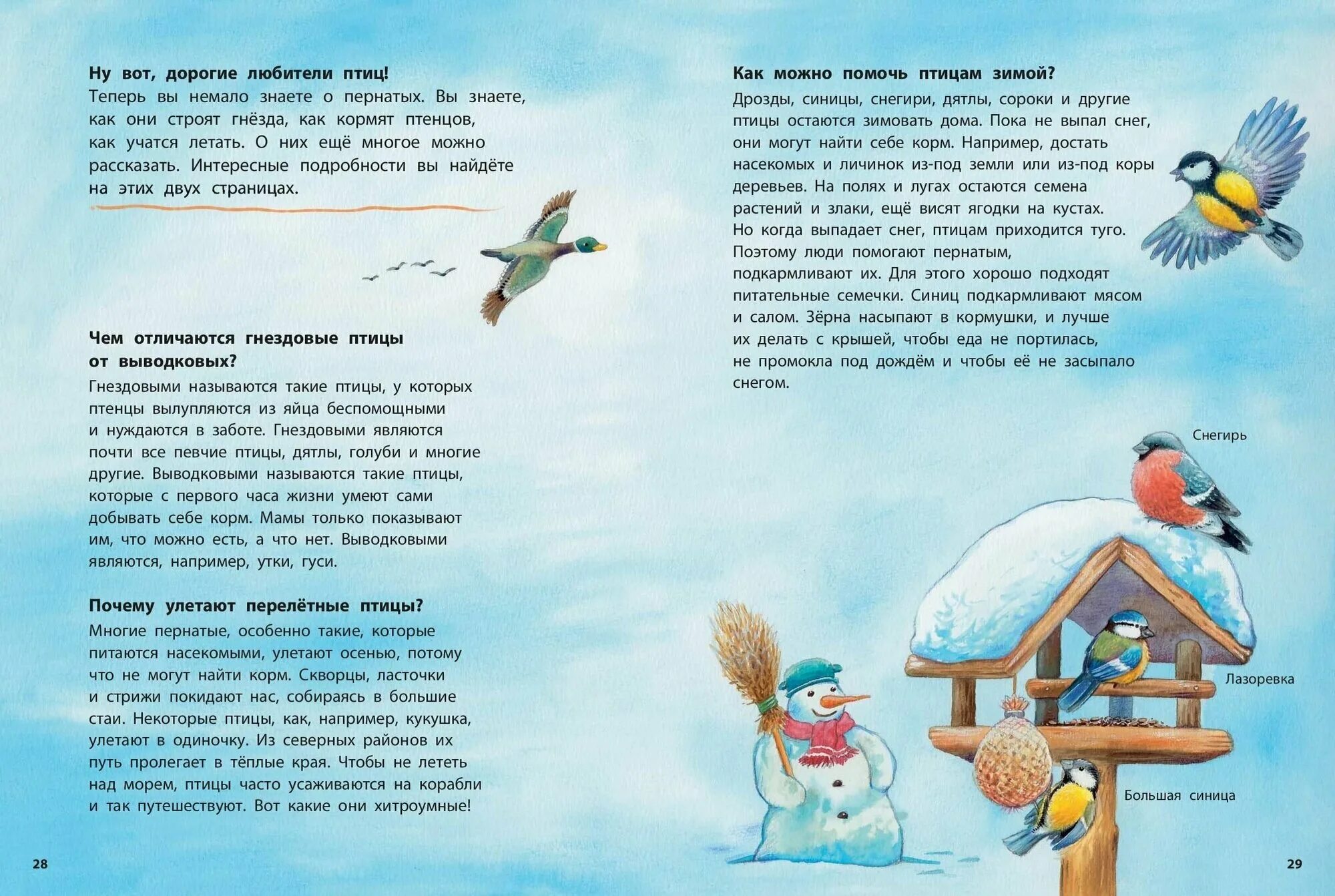 Книга синичек