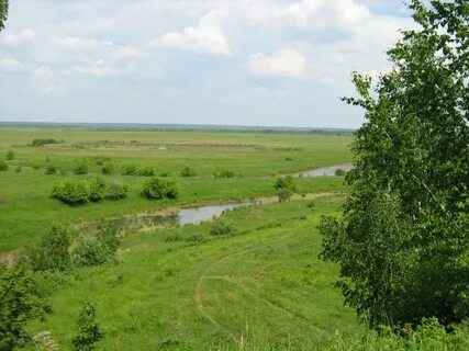 Зелено омская область