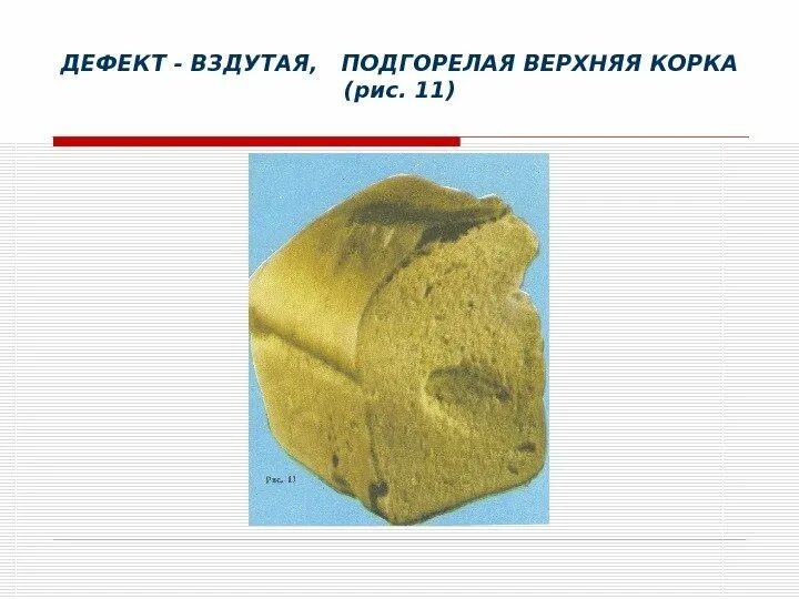 Строение корки растений. Перидерма и корка. Поперечный срез корки дуба. Целлюлит воспаление подкожно-жировой клетчатки. Корка покровная ткань.