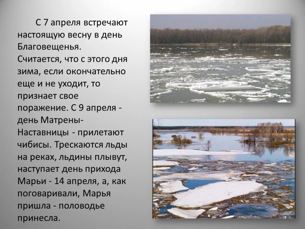 Почему 9 апреля. 9 апреля. встречайте апрель. доклад о весне.