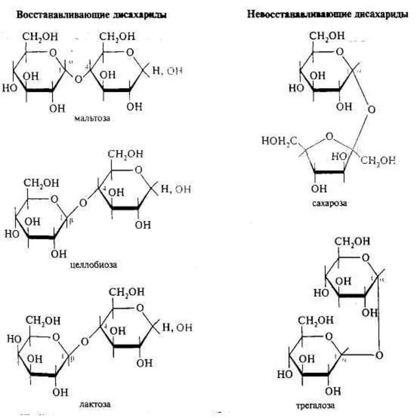 Отличие сахарозы от глюкозы реакция. Восстанавливающие дисахариды и невосстанавливающие дисахариды. Дисахариды: мальтоза, целлобиоза, лактоза, сахароза. Формулы дисахаридов мальтозы лактозы Целлобиозы сахарозы. Дисахариды мальтоза целлобиоза сахароза.