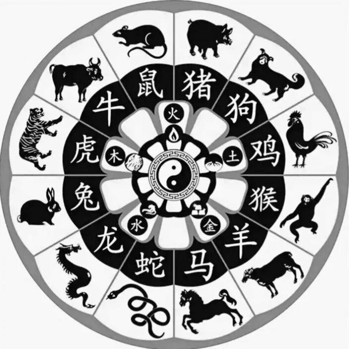 Зодиакальный круг знаков зодиака по годам. Восточные знаки. Знаки восточного гороскопа. Животные восточного календаря.