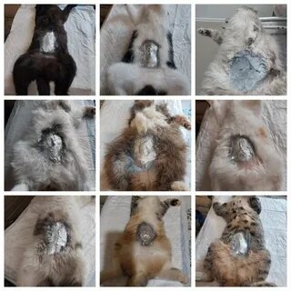 Стерилизация уколом