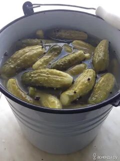 Ведро для засолки огурцов