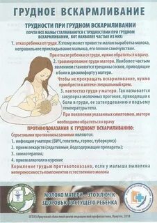 Кт можно при гв