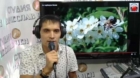 Караоке ах черемуха