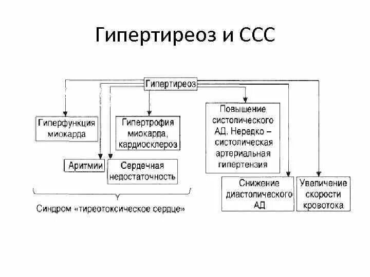 Мерцательная аритмия при гипертиреозе. Сердечно сосудистая система гипертиреоз. Изменения на экг при гипертиреозе. Нарушения ритма при тиреотоксикозе. Механизм развития аг при тиреотоксикозе.