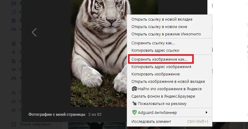 Как сохранить фото из контакта. Как архивировать фото в ВК. Как сохранить фото из контакта на компьютер. Как сохранить фото в ВК. Как сохранить фото с ВК на компьютер.