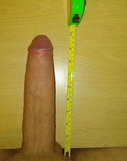 Slideshow 8 inch dick with ruler.