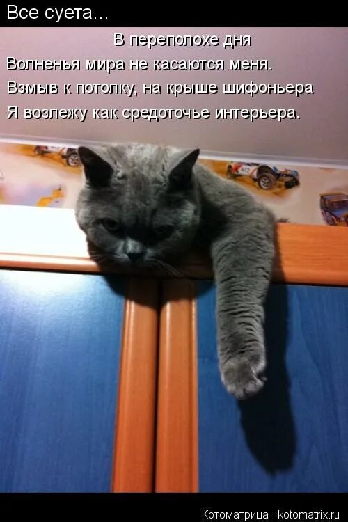 мне сверху видно все картинки прикольные. я сверху ты снизу. мне сверху видно все.