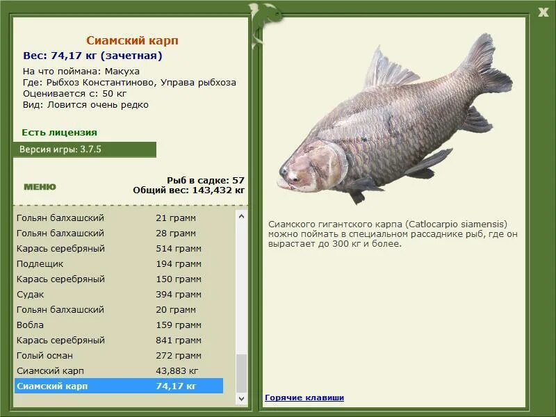 русская рыбалка 3 7 6 рыбхоз константиново сиамский карп. рыбхоз константиново ручьевая форель. рыбхоз константиново. русская рыбалка 3 7 4 0 рыбхоз константиново. рыбхоз константиново русская рыбалка.