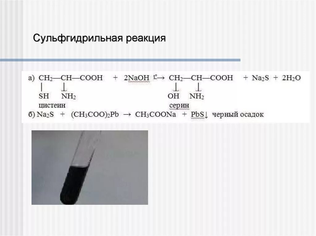 Pb nh3 2. Цистеиновая реакция (реакция Фоля). Цистин реакция Фоля. Реакция на цистеин (реакция Фоля). Сульфгидрильная качественная реакция на белки.