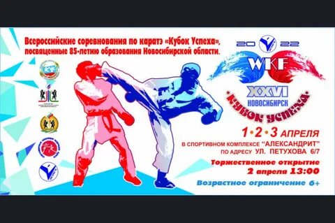 Каратэ кубок успеха