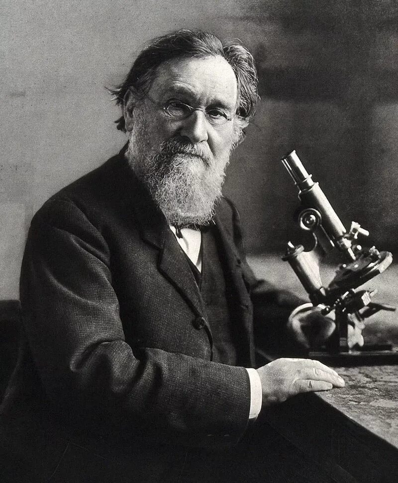 Мечников м. Илья ильич мечников. ильи ильича мечникова (1845—1916). илья ильич мечников (1845-1916) биолог. биолог илья мечников.