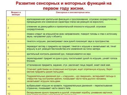 Развитие ребенка 4 года жизни