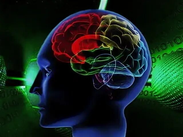 Мелатонин в мозге. Психофизиологические возможности человека. Психофизические особенности человека. Связь психики и тела. Психофизиологические характеристики.