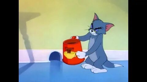 Кот том в жизни