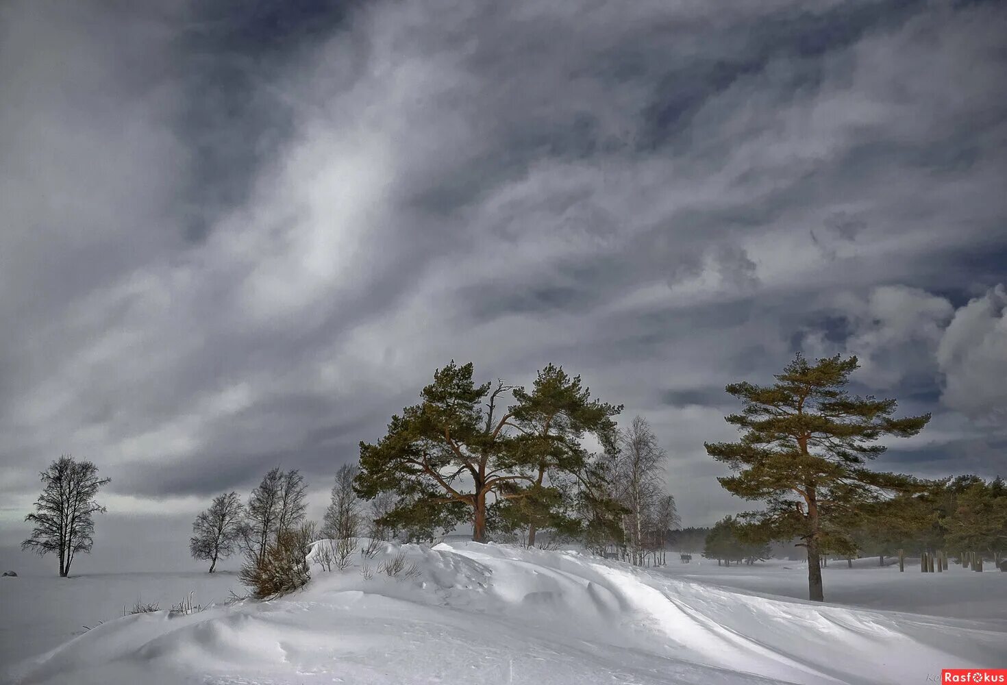 что такое буран в природе. пурга снежный буран. снежная метель. снежная буря. снежная буря.